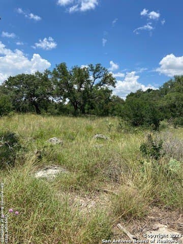 1.19 acres in Comal County - photo 31