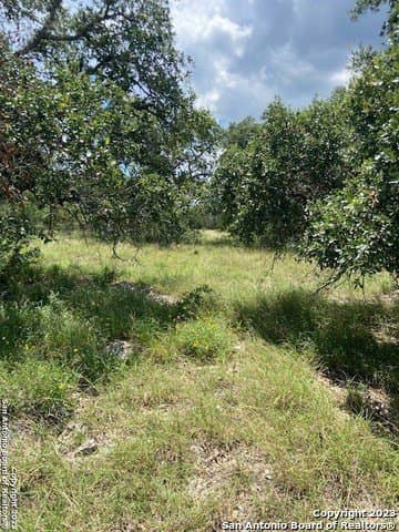 1.19 acres in Comal County - photo 33