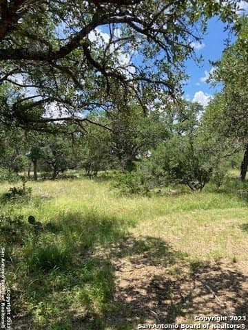1.19 acres in Comal County - photo 30