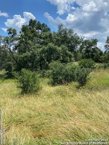 1.19 acres in Comal County - photo 23