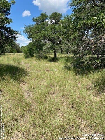 1.19 acres in Comal County - photo 25