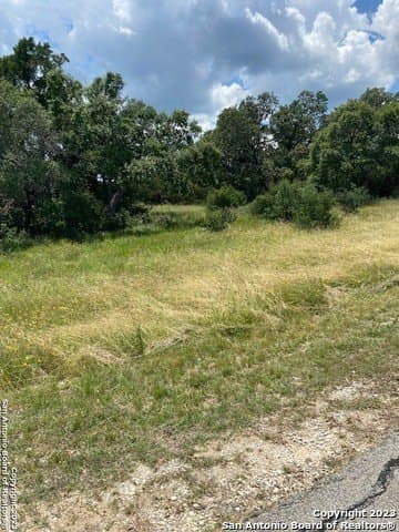 1.19 acres in Comal County - photo 21