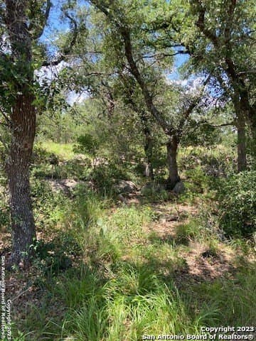 1.19 acres in Comal County - photo 32