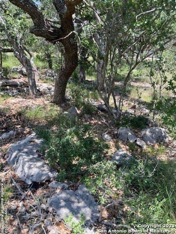 1.19 acres in Comal County - photo 27