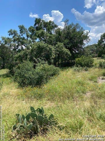 1.19 acres in Comal County - photo 24