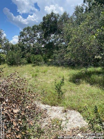 1.19 acres in Comal County - photo 20