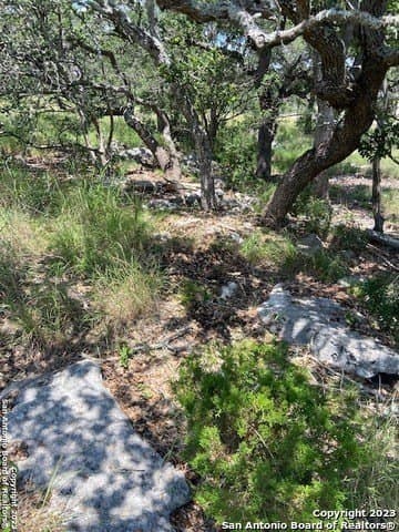 1.19 acres in Comal County - photo 26