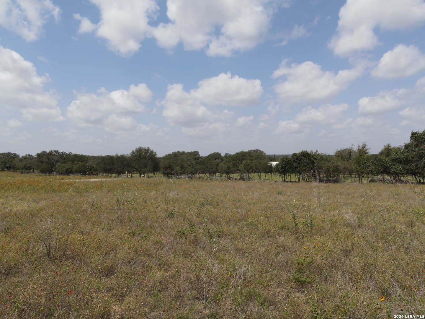 3.25 acres in Atascosa County - photo 7