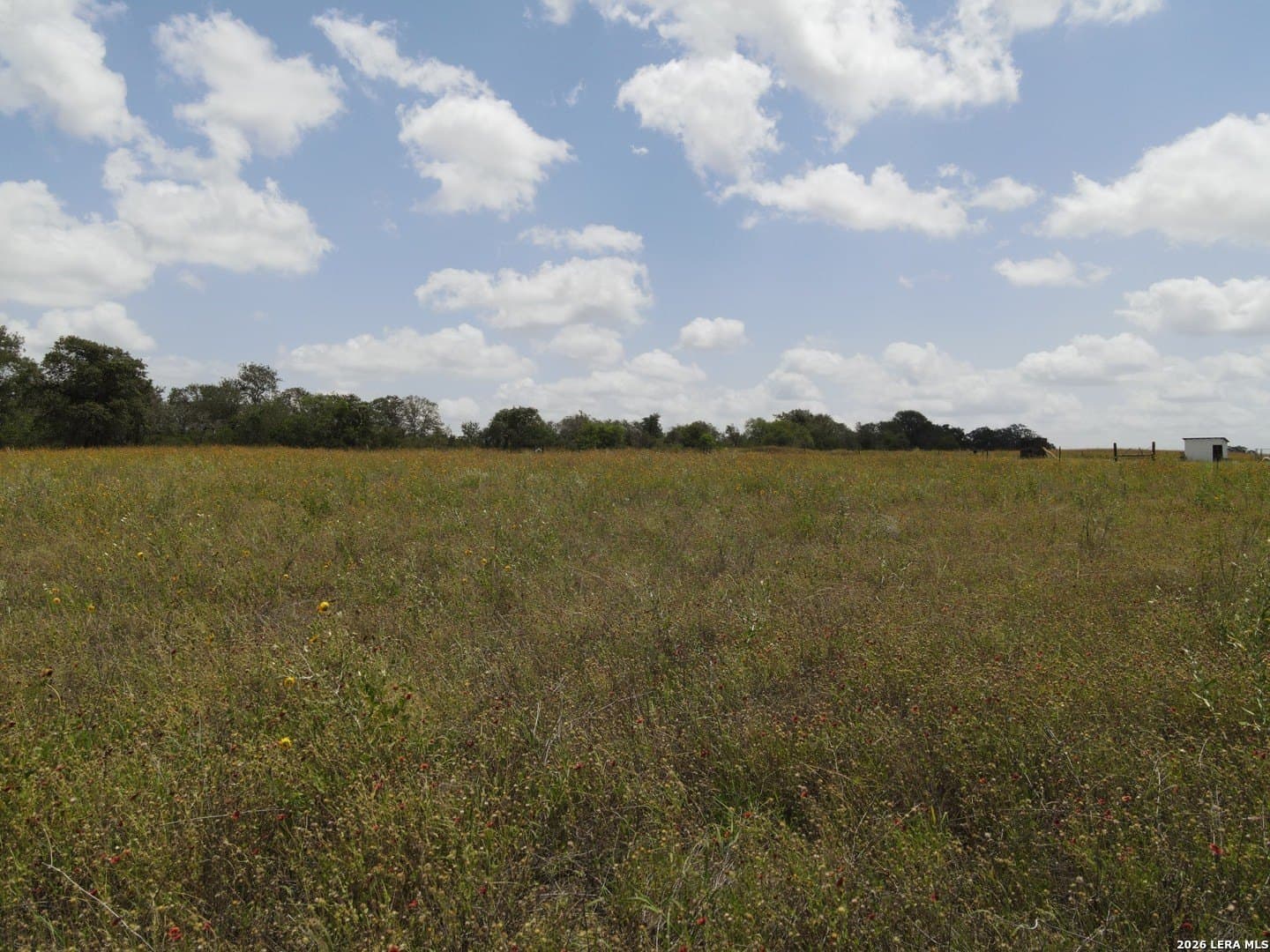 3.25 acres in Atascosa County featured view