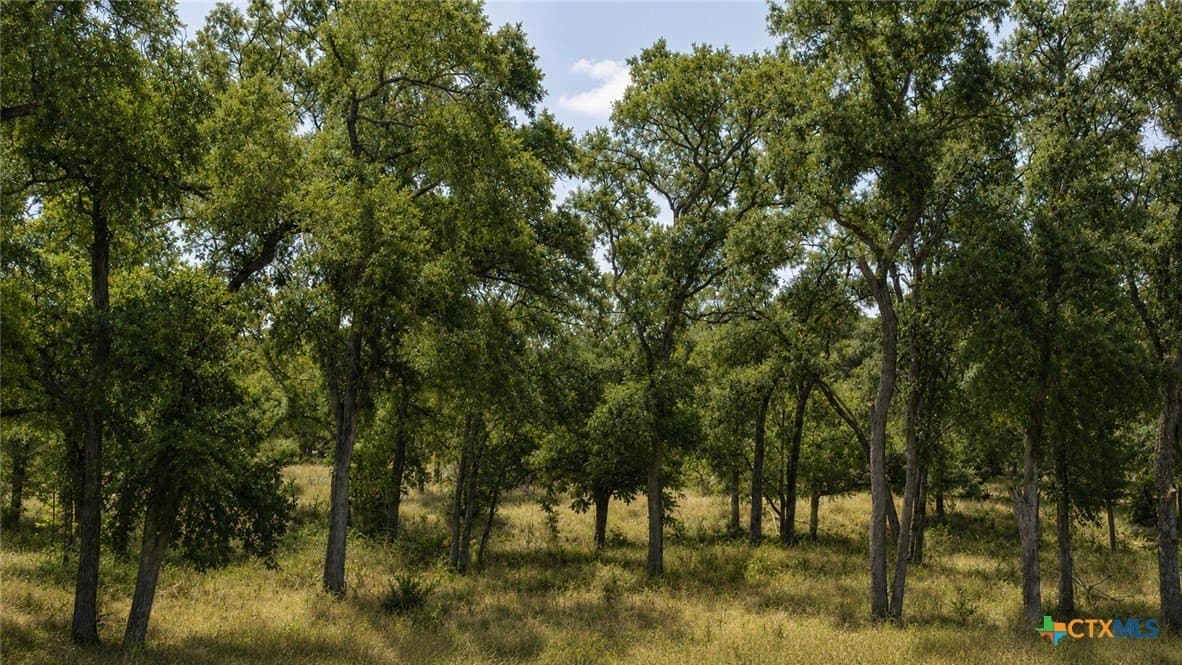6.01 acres in Coryell County - photo 6