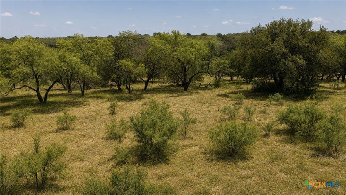 6.01 acres in Coryell County - photo 9