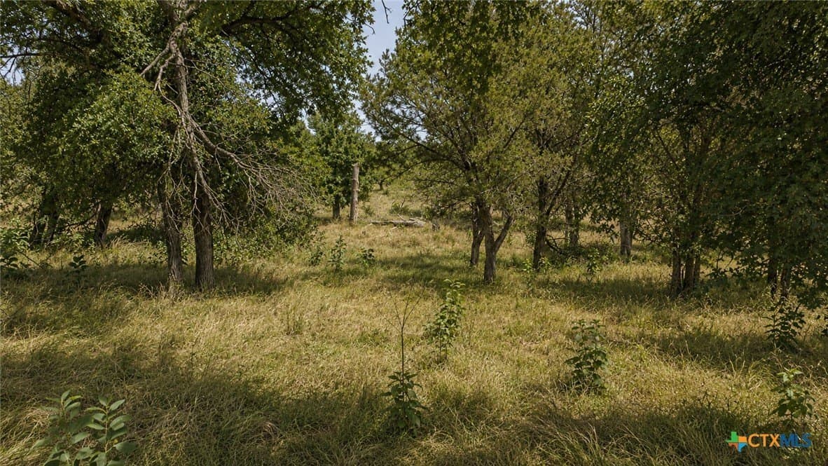 6.01 acres in Coryell County - photo 7