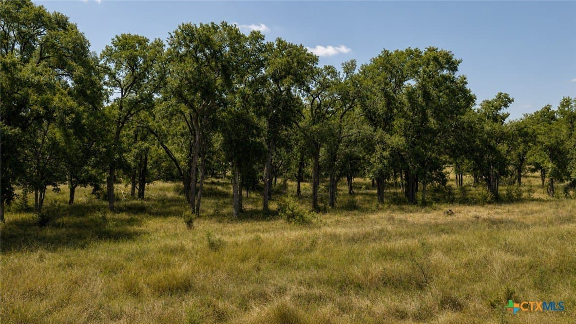 6.01 acres in Coryell County - photo 8