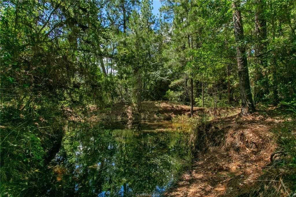 10.01 acres in Grimes County - photo 46