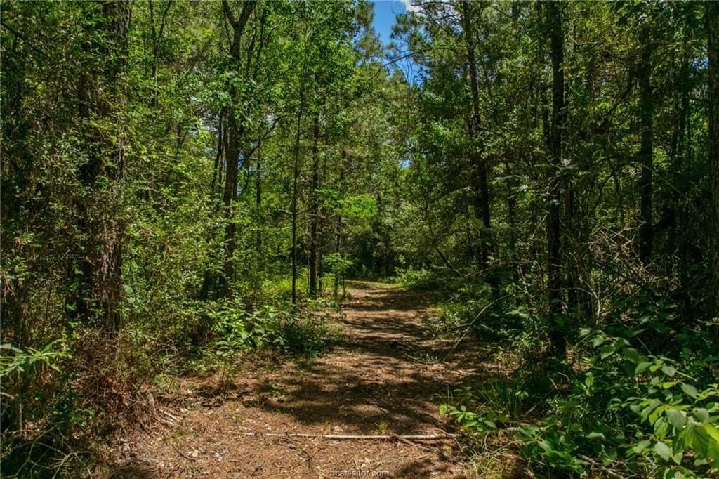 10.01 acres in Grimes County - photo 49