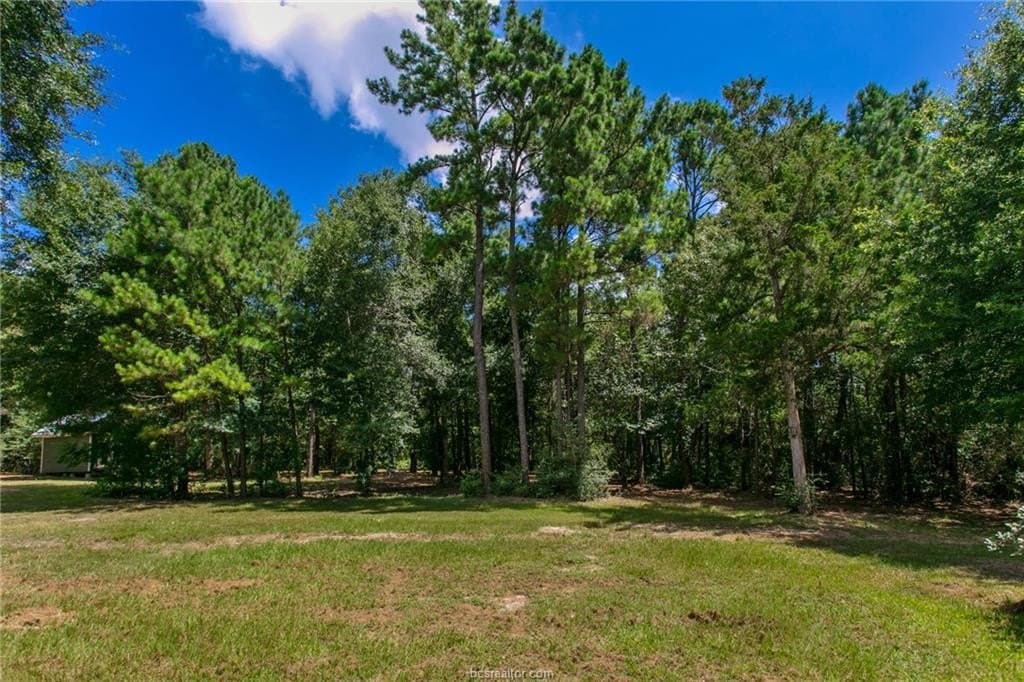 10.01 acres in Grimes County - photo 45
