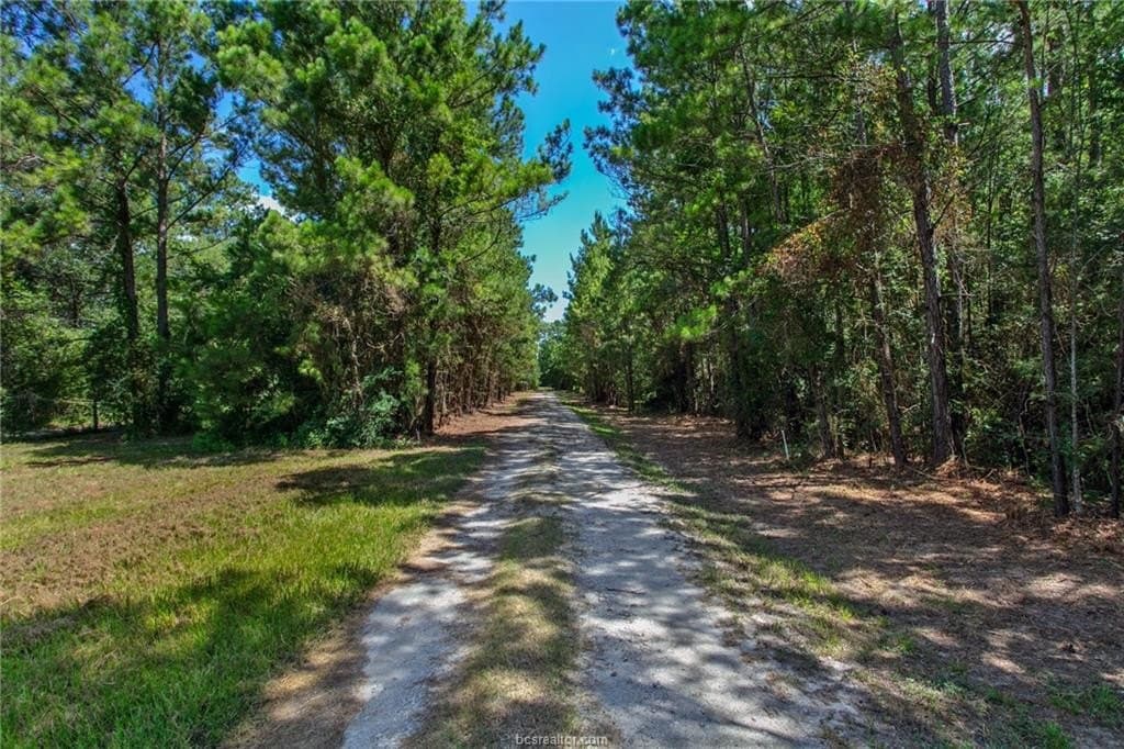 10.01 acres in Grimes County - photo 4