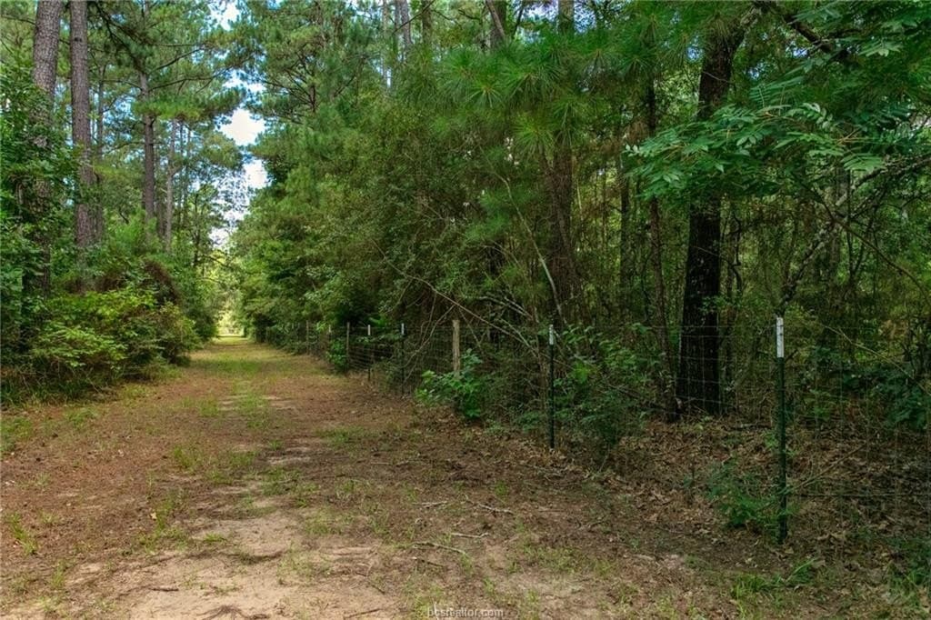 10.01 acres in Grimes County - photo 47