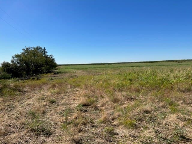 113.45 acres in Concho County - photo 12