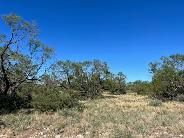 113.45 acres in Concho County gallery image 4