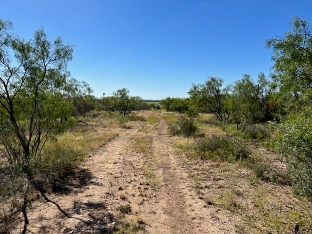113.45 acres in Concho County - photo 8