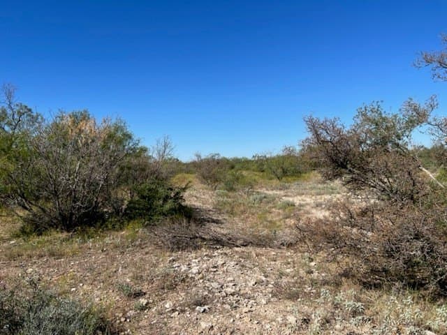 113.45 acres in Concho County featured view