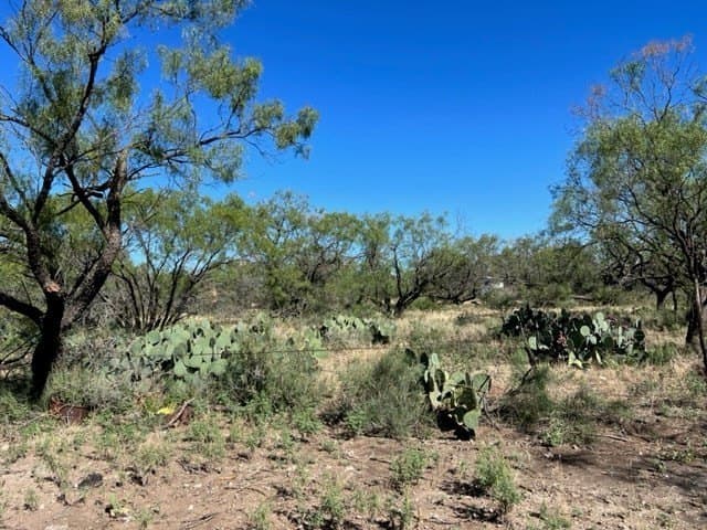 113.45 acres in Concho County gallery image 2