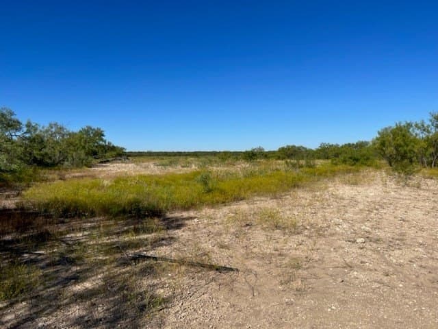 113.45 acres in Concho County - photo 16
