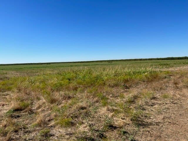 113.45 acres in Concho County - photo 11