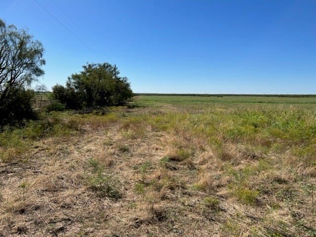 113.45 acres in Concho County - photo 13