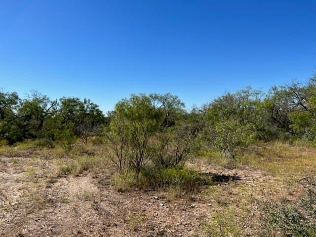 113.45 acres in Concho County - photo 6