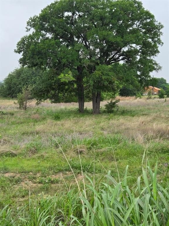 5 acres in Coryell County gallery image 2
