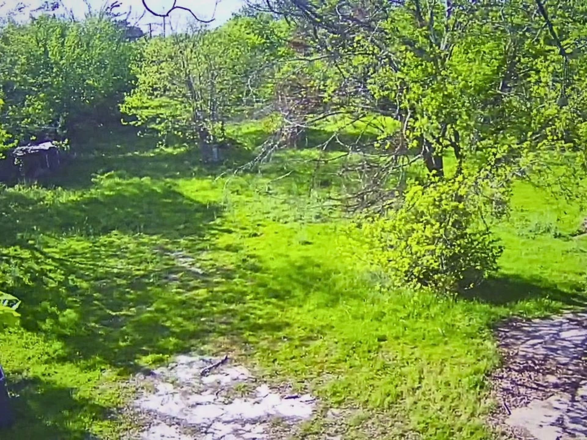0.43 acres in Collin County - photo 7