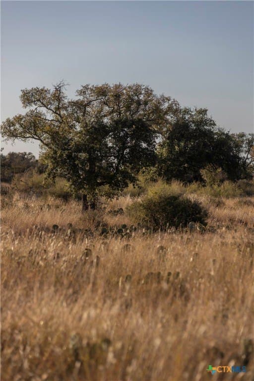 5 acres in Blanco County featured view