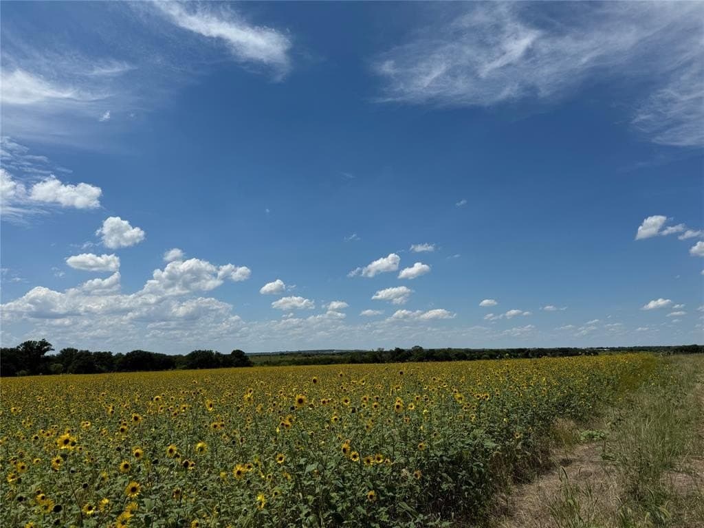 95.95 acres in Hamilton County gallery image 3