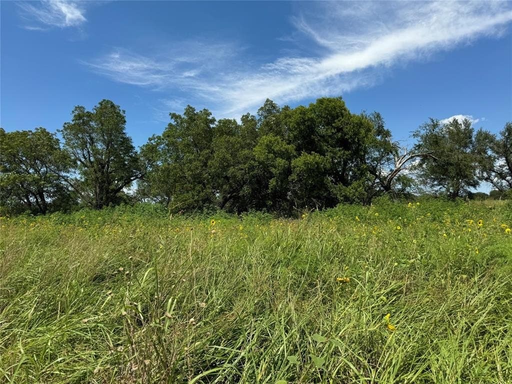 95.95 acres in Hamilton County gallery image 4