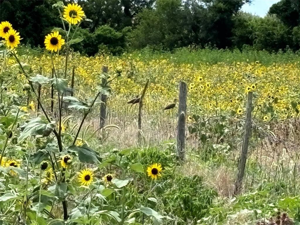 95.95 acres in Hamilton County gallery image 2