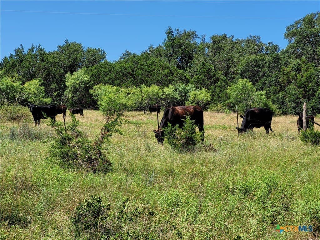 575 acres in Lampasas County - photo 13