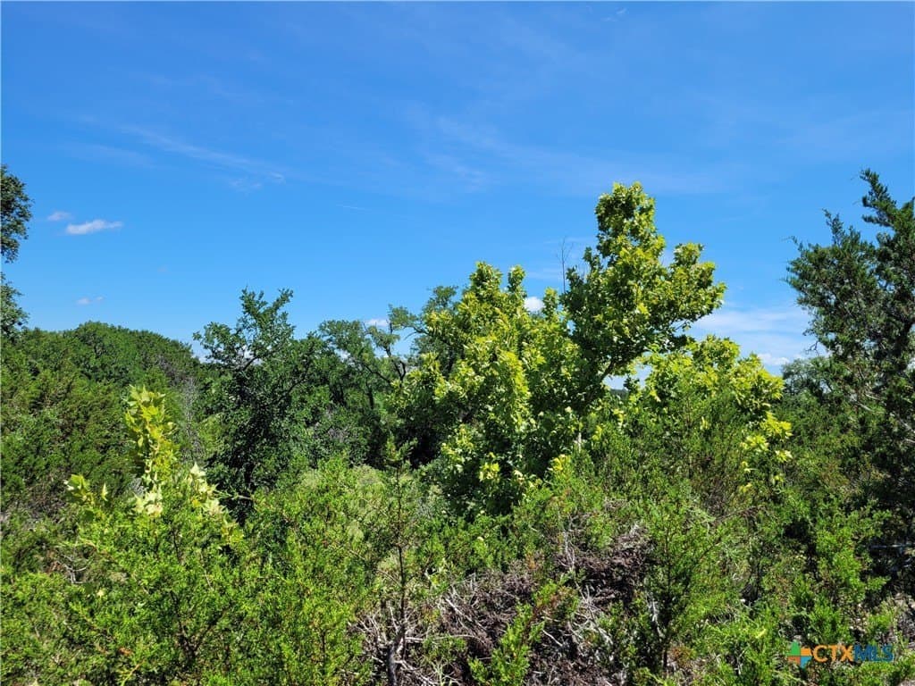 575 acres in Lampasas County - photo 17