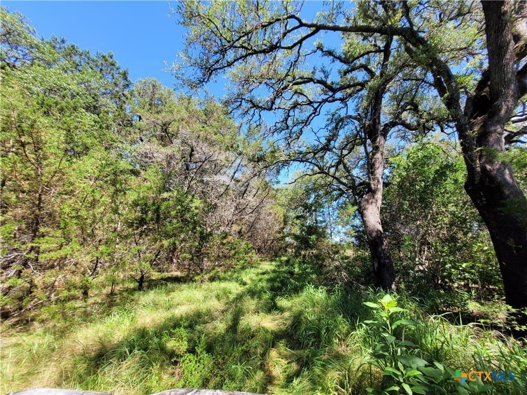 575 acres in Lampasas County - photo 10