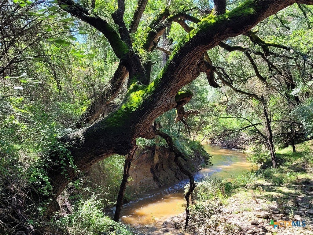 575 acres in Lampasas County - photo 8