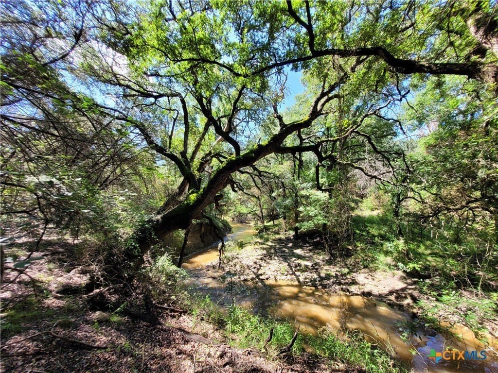 575 acres in Lampasas County - photo 7