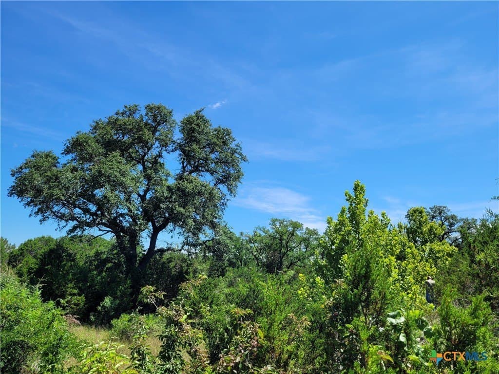 575 acres in Lampasas County - photo 18