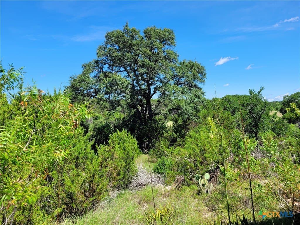 575 acres in Lampasas County gallery image 2