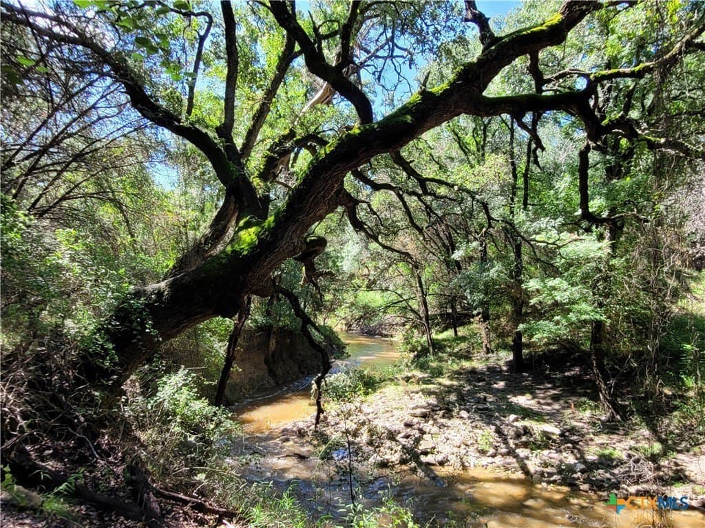 575 acres in Lampasas County - photo 9