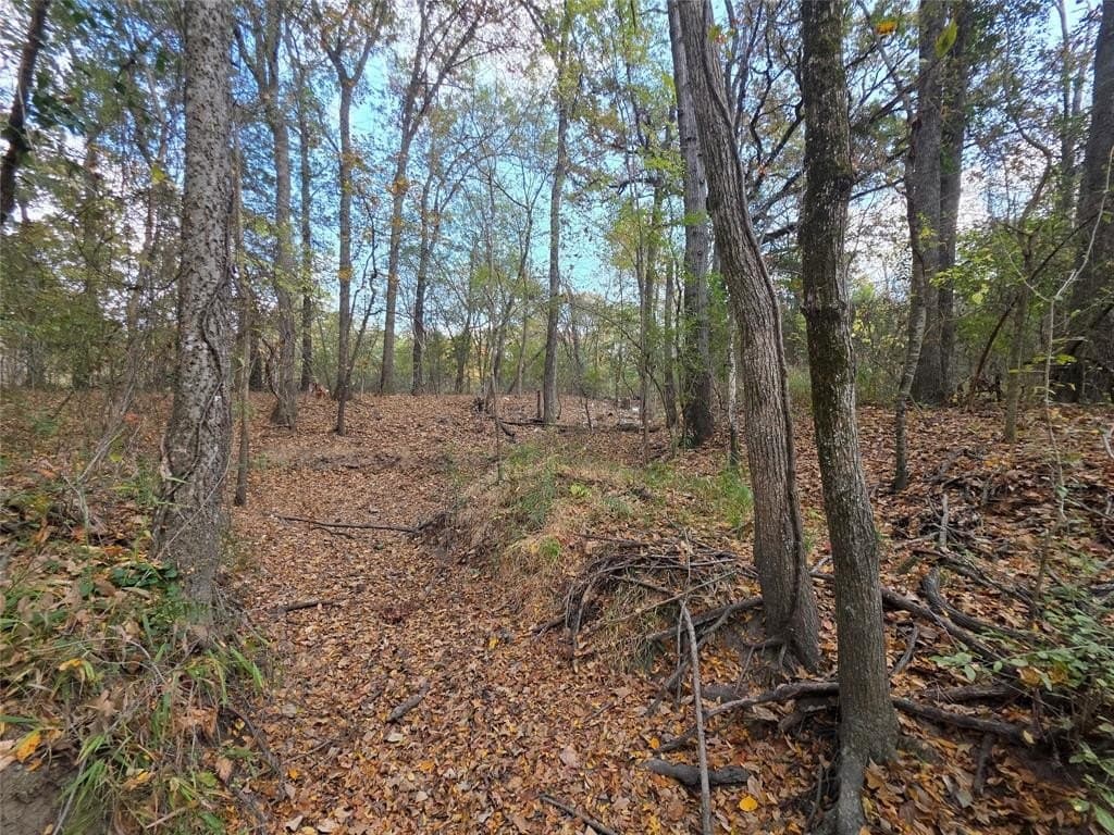 14.78 acres in Hunt County gallery image 4