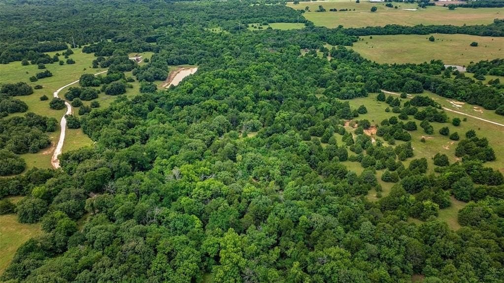 55 acres in Cooke County gallery image 4