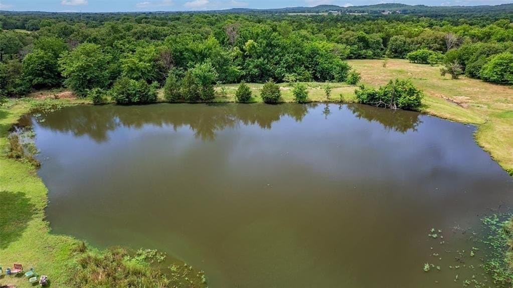 55 acres in Cooke County gallery image 2