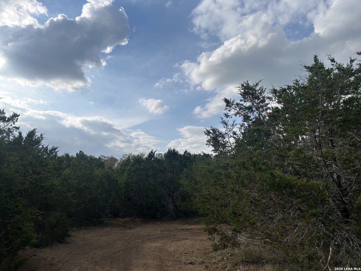 1.08 acres in Comal County gallery image 3