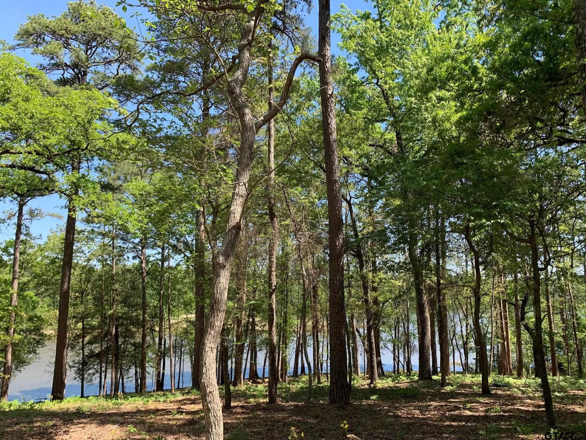 42.53 acres in Henderson County - photo 18